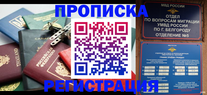 временная регистрация недорого в Купино